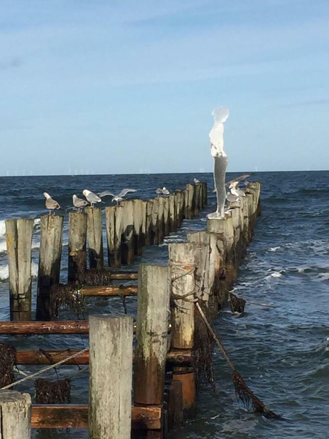 Haus Selma Leilighet Zingst Eksteriør bilde